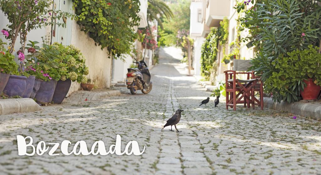 Kalinda Hotel - Adult Only بوزجادا المظهر الخارجي الصورة